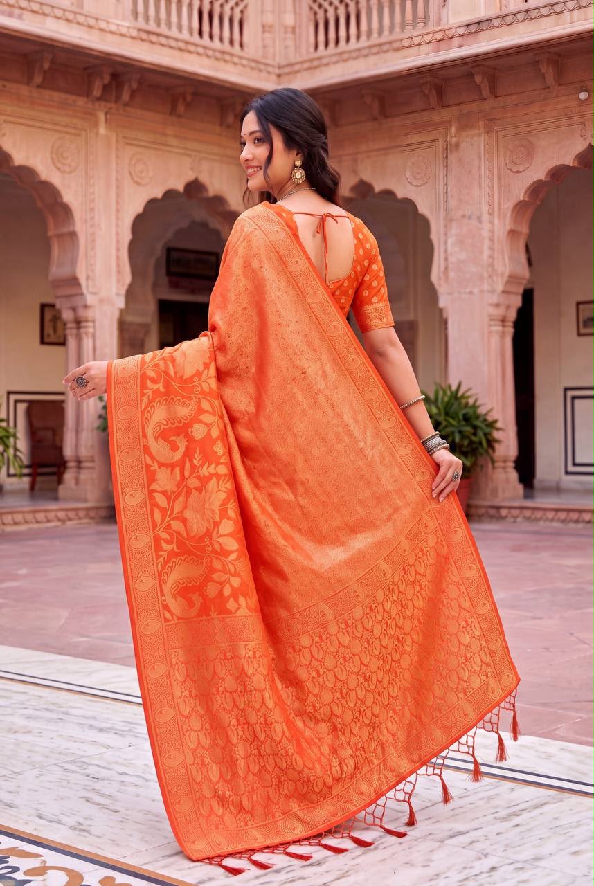 orange 2
