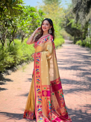 Daily wear saree